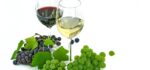 liquid-plant-grape-wine-white-fruit-796516-pxhere.com