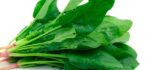 Espinaca (precio por kg)