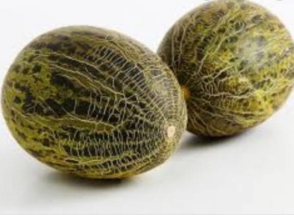 Melon Bollo (precio por kg)