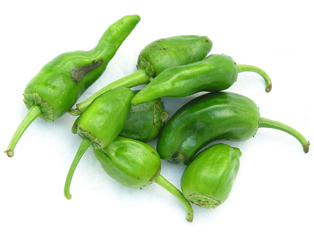 Pimiento Padrón (precio por kg)