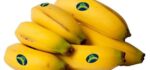 Platano Extra Canario (precio kg)