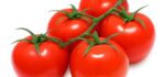 Tomate Rama (precio por kg)